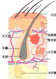 腋臭症状